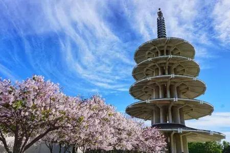 The Peace Pagoda in 结合