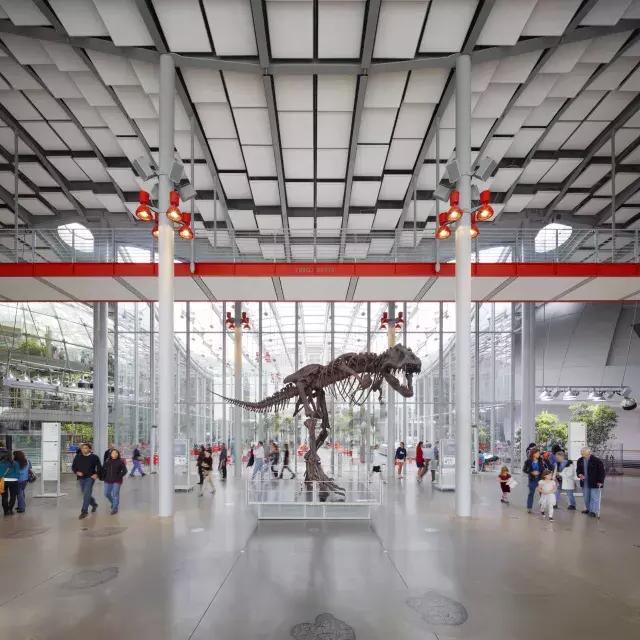 加利福尼亚科学院的恐龙
